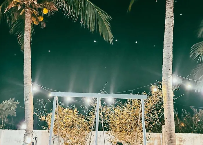 Evergreen Tree * Phan Thiết